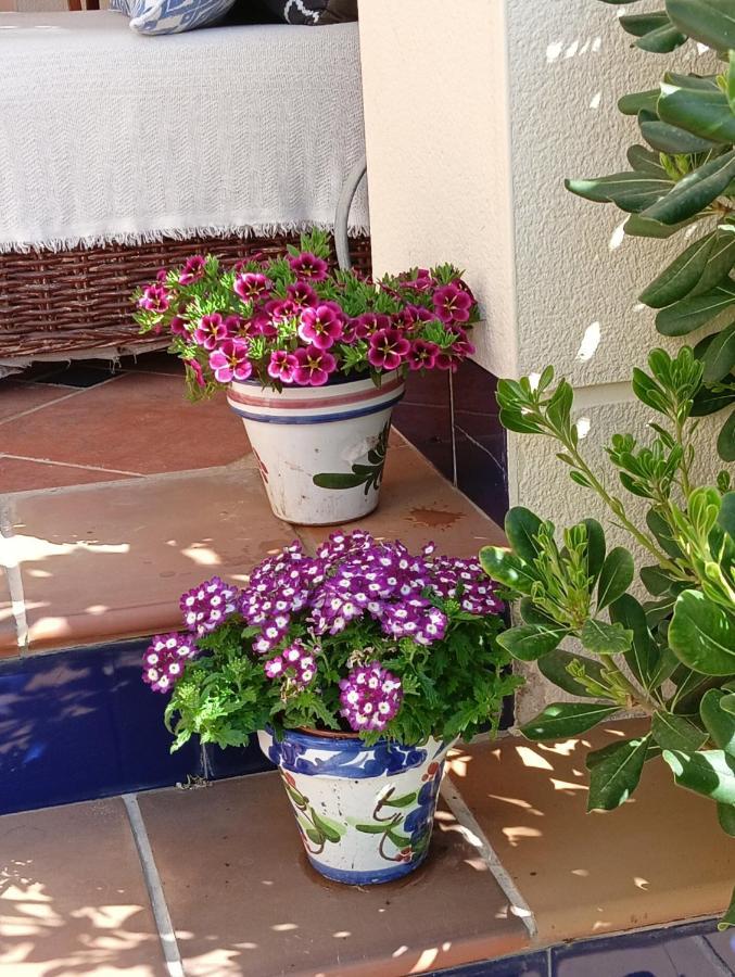 דירות Los Altos Casa Irina & Elena 2Bed 2Bath מראה חיצוני תמונה